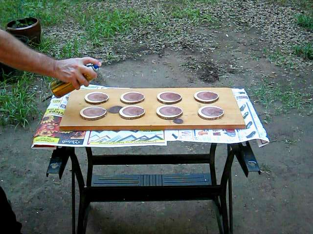 DIY Wood Coasters Made from a Log: How to Make Drink Coasters 